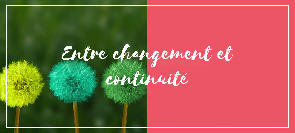 bilan été 2024 rédaction web et formation