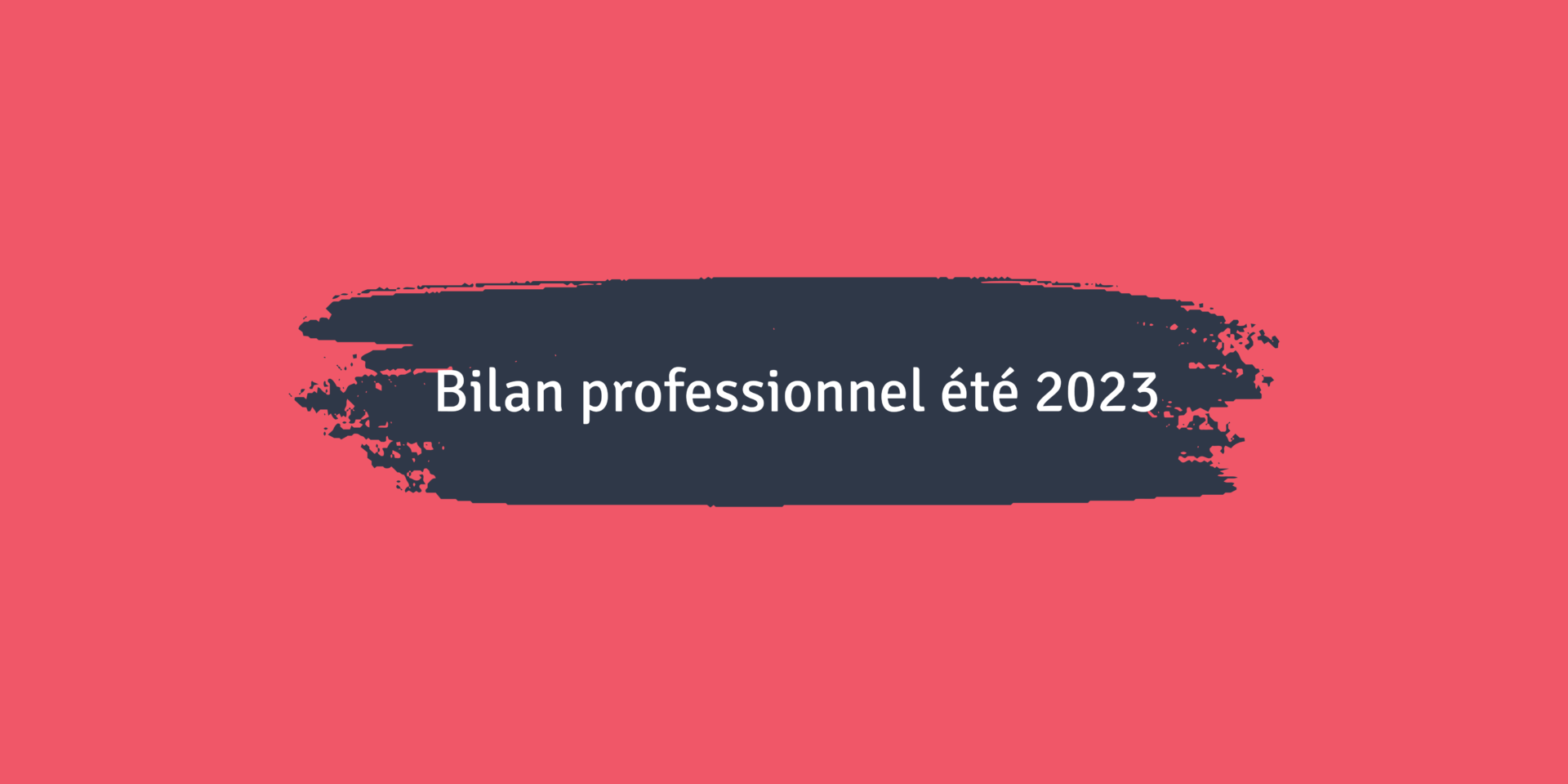 bilan professionnel été 2023