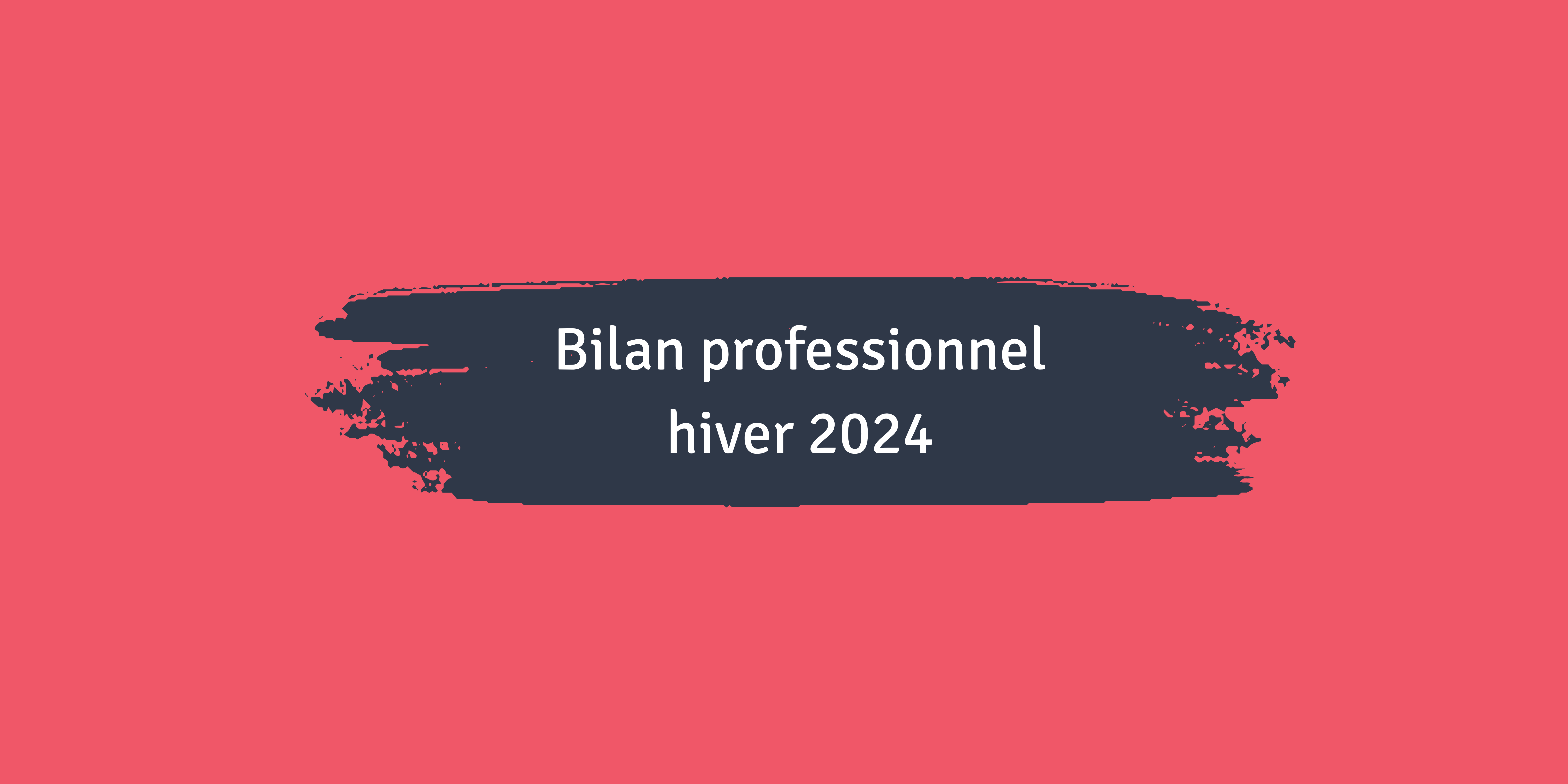 bilan professionnel hiver 2024